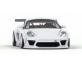 GReddy Pandem Full Kit Without Wing for Porsche Cayman 987.1 2005-2008